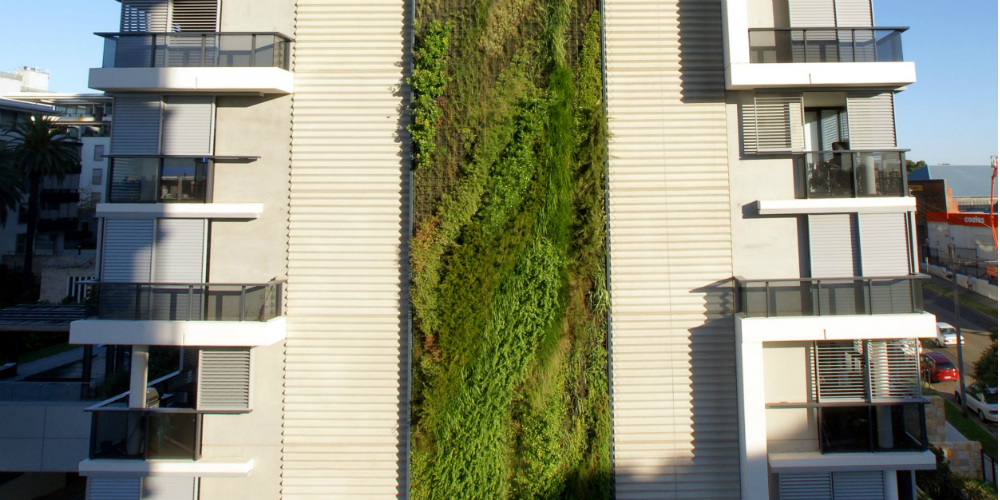 Patrick Blanc, Vertical Garden for Fraser’s Property Trio apartment complex, 2009. Located on corner of Booth Street and Pyrmont Bridge Road, Camperdown, Sydney. Image courtesy of Frasers Property Australia.