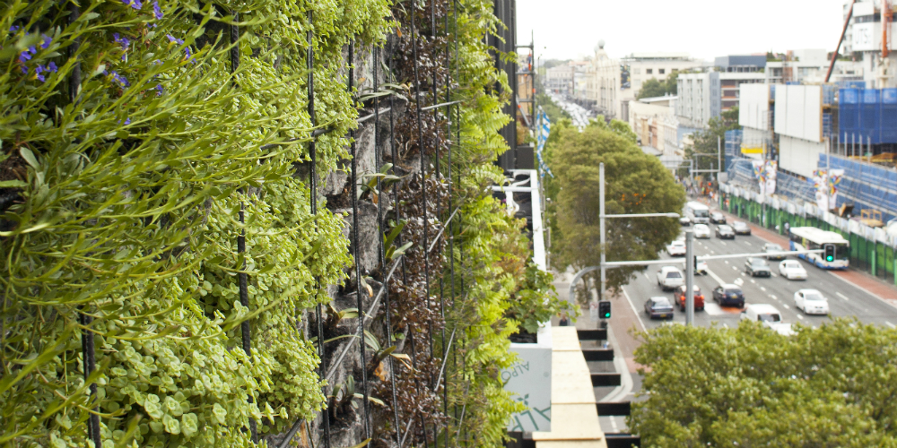 Patrick Blanc, Vertical Gardens for Jean Nouvel’s One Central Park development, 2013. Located at Central Park, Chippendale, Sydney. Image courtesy of Frasers Property Australia.