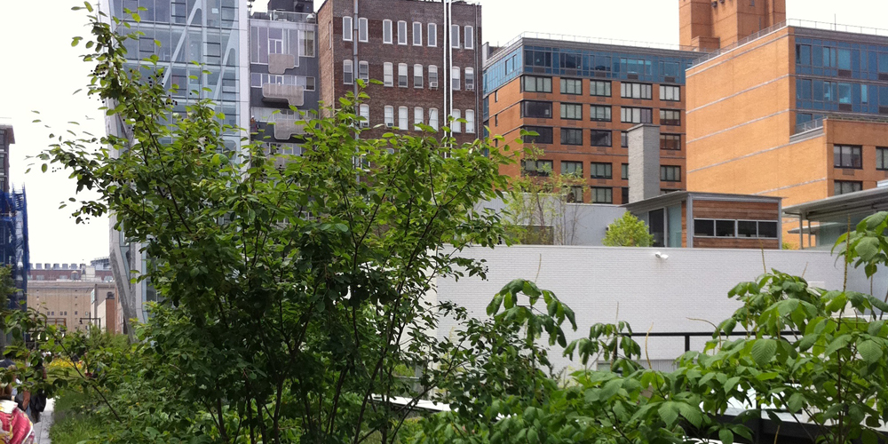 High Line Art : Participating artists include Sarah Sze, Alison Knowles and Spencer Finch