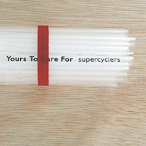 Supercyclers (Plastic Fantastic) : Liane Rossler and Sarah K